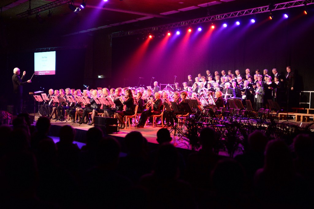 ../Images/Jubileumconcert 100 jaar Harpe Davids 098.jpg